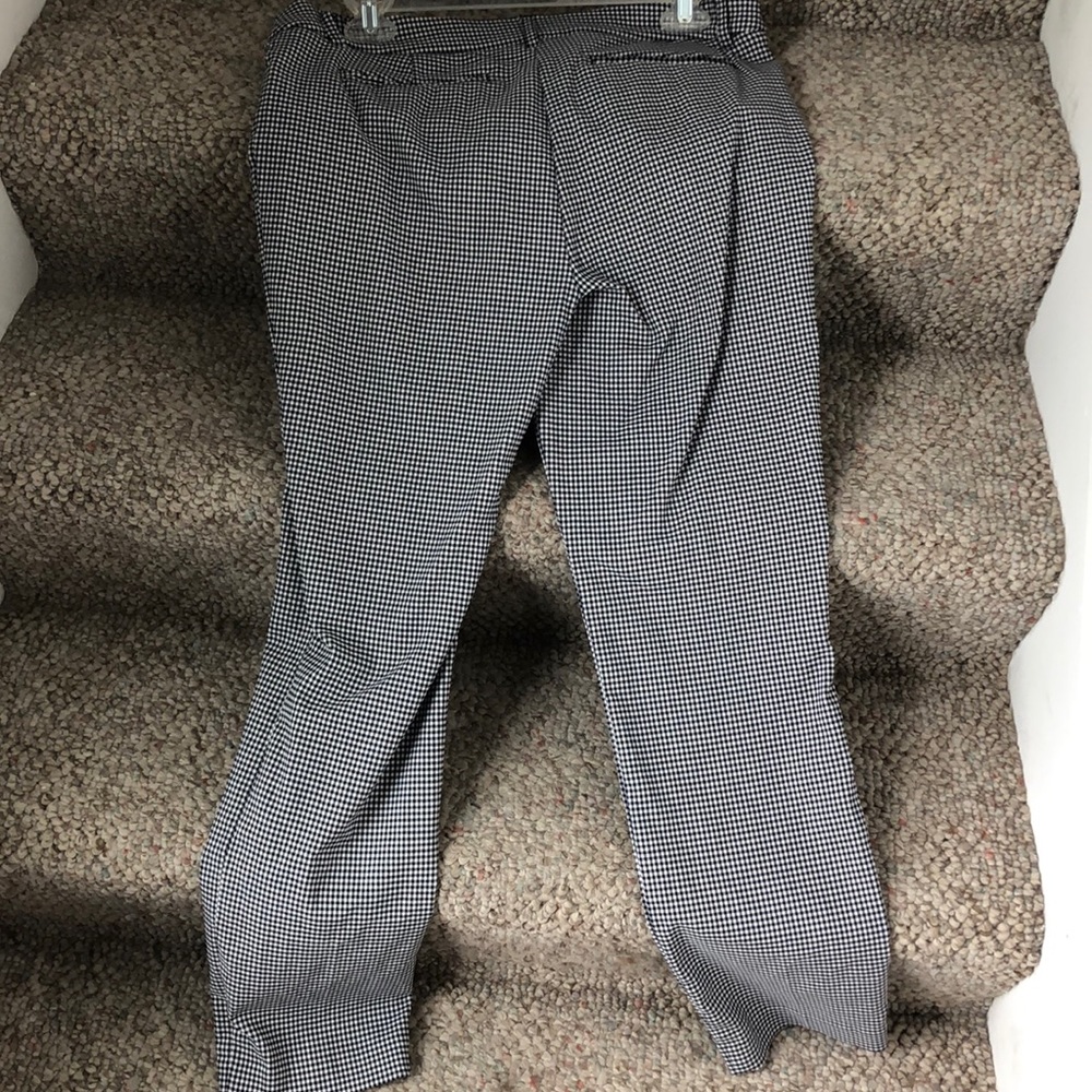 Dress pants